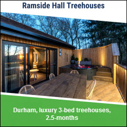 Case study of the Luxury Sips Treehouses development at Ramside Hall in Durham